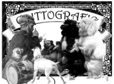 Scarica Anno V  Numero 64  2/3/2026